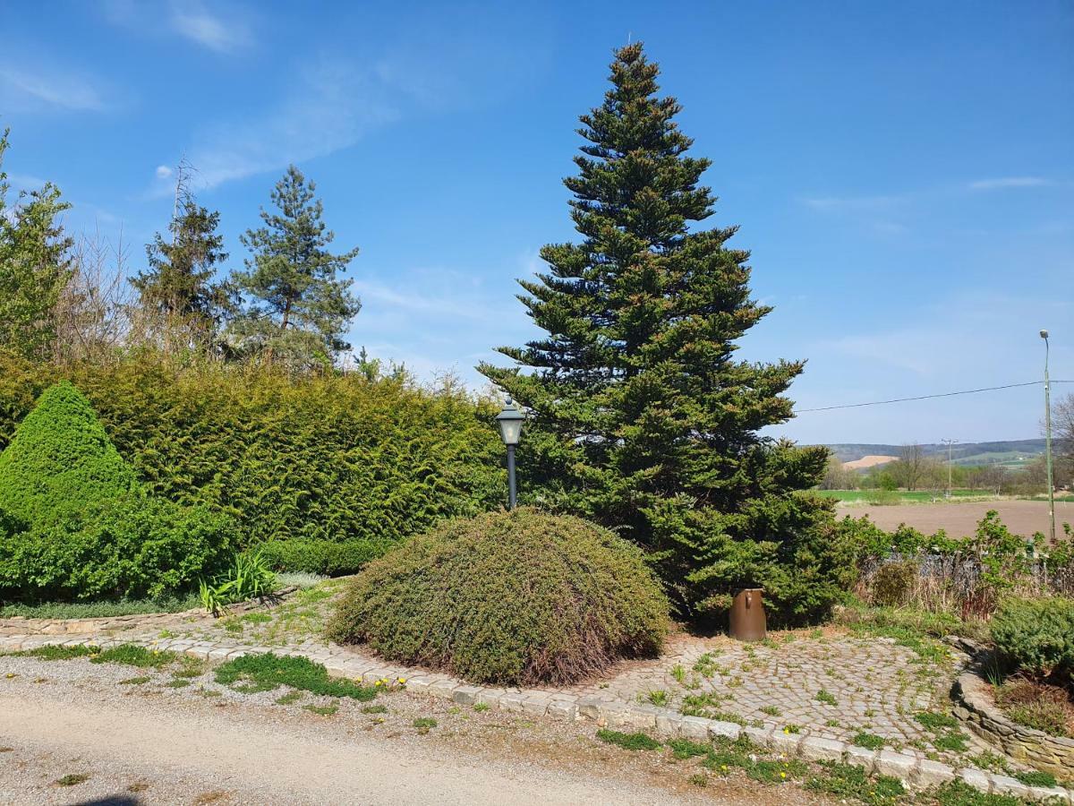 Villa Kliche Przerzeczyn-Zdroj Esterno foto