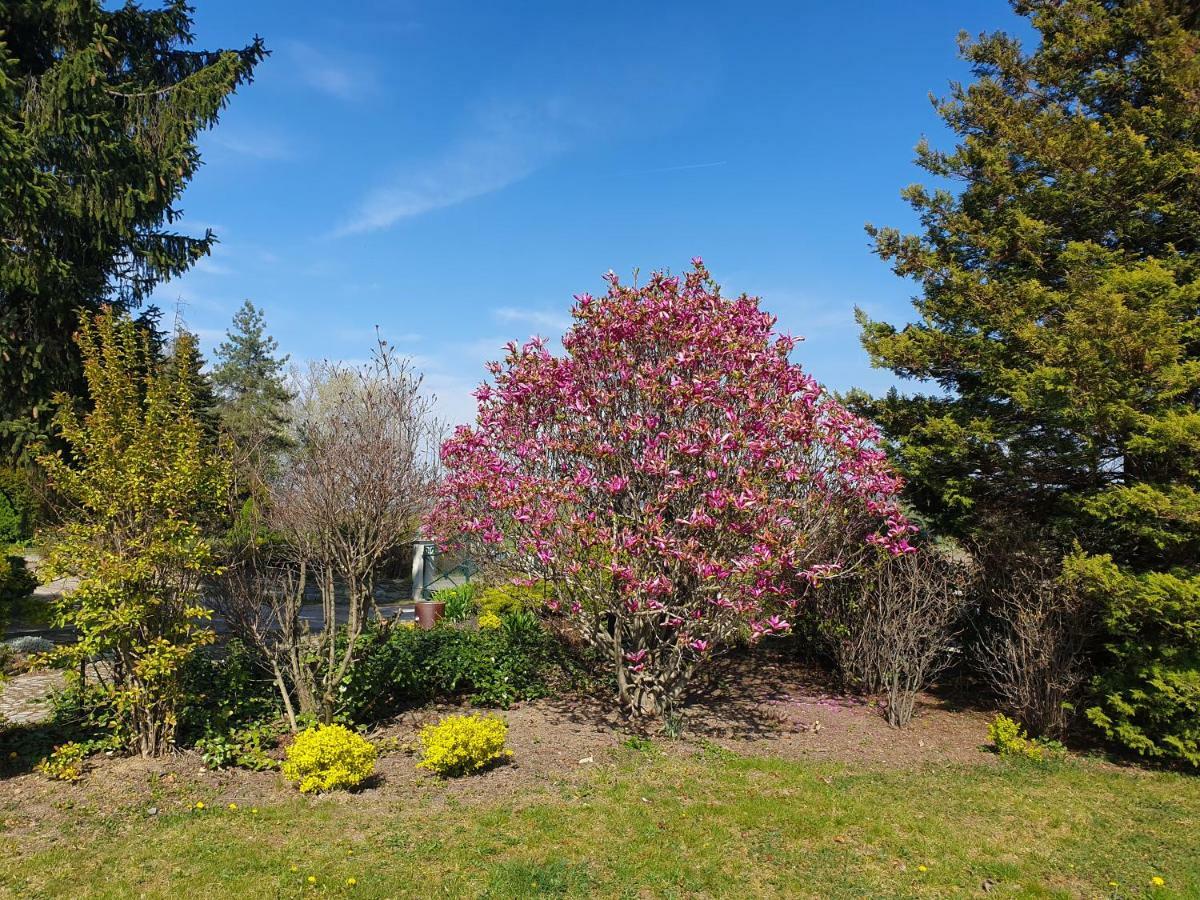 Villa Kliche Przerzeczyn-Zdroj Esterno foto